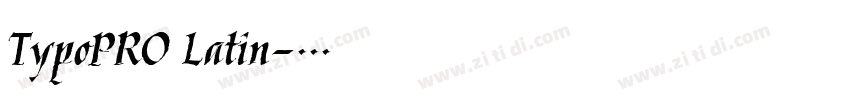 TypoPRO Latin字体转换